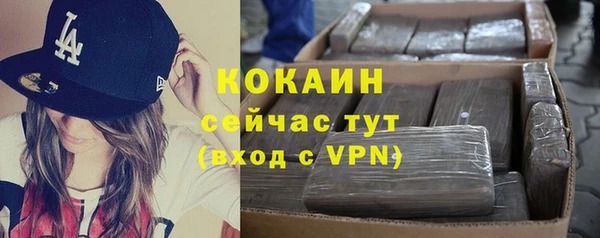 дживик Аркадак