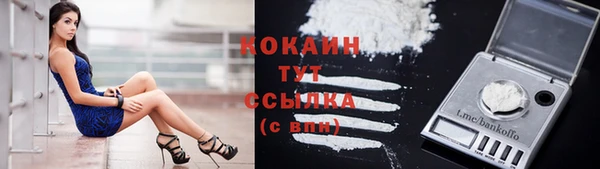 дживик Аркадак