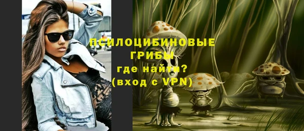 PSILOCYBIN Армянск